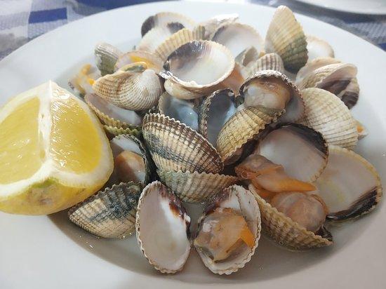 Cerveceria La Libelula